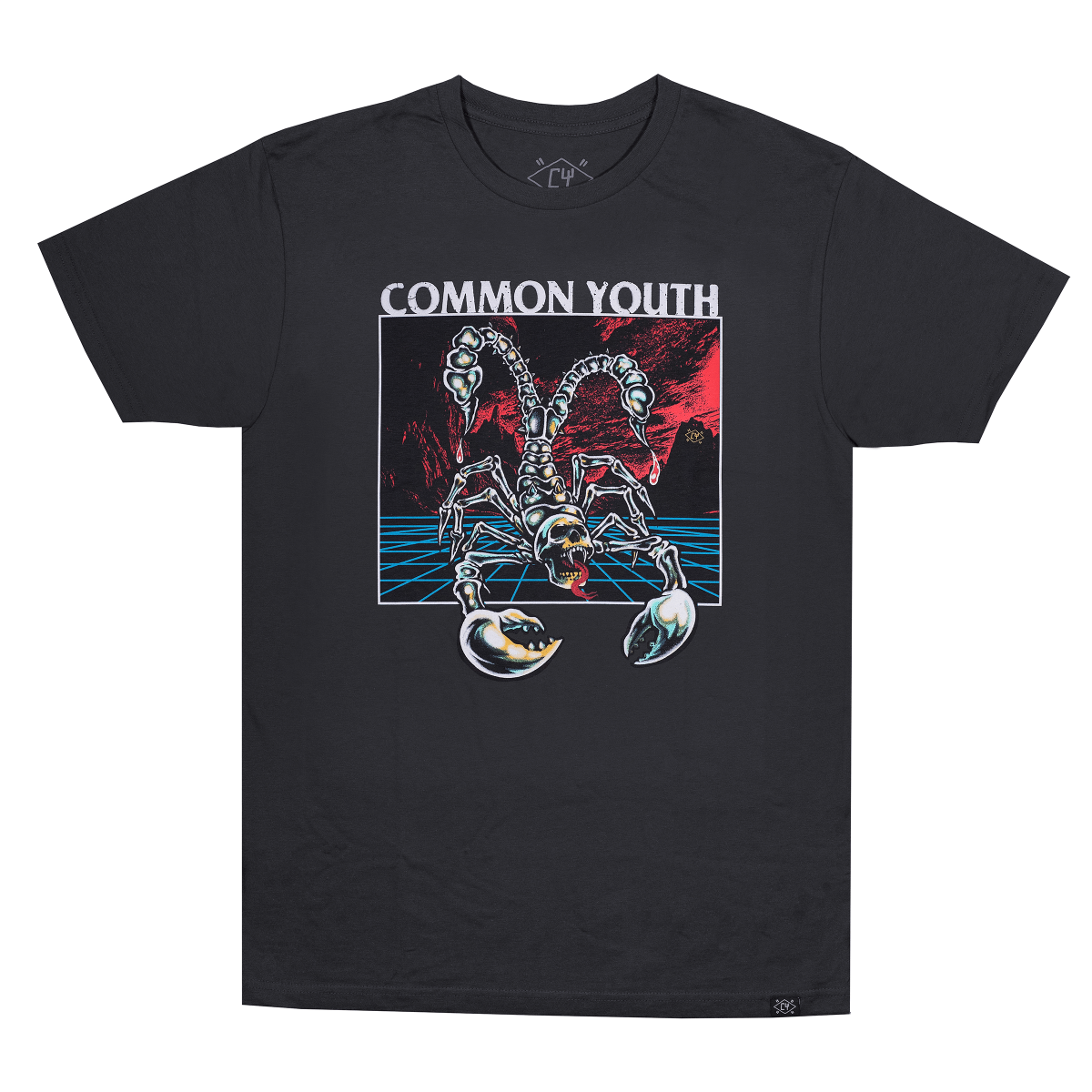 DOUBLE DOSE SS - commonyouthbrand